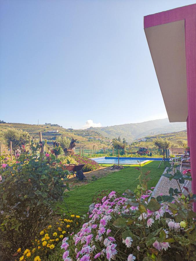 Quinta Dos Padrinhos - Suites In The Heart Of The Douro Ламегу Екстер'єр фото