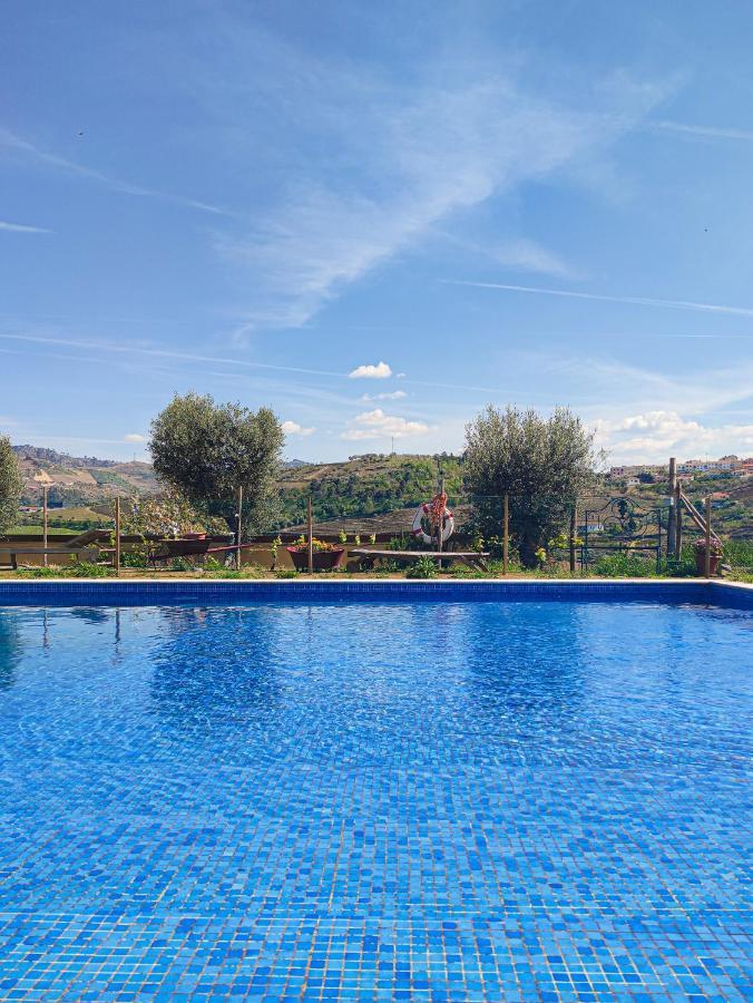 Quinta Dos Padrinhos - Suites In The Heart Of The Douro Ламегу Екстер'єр фото