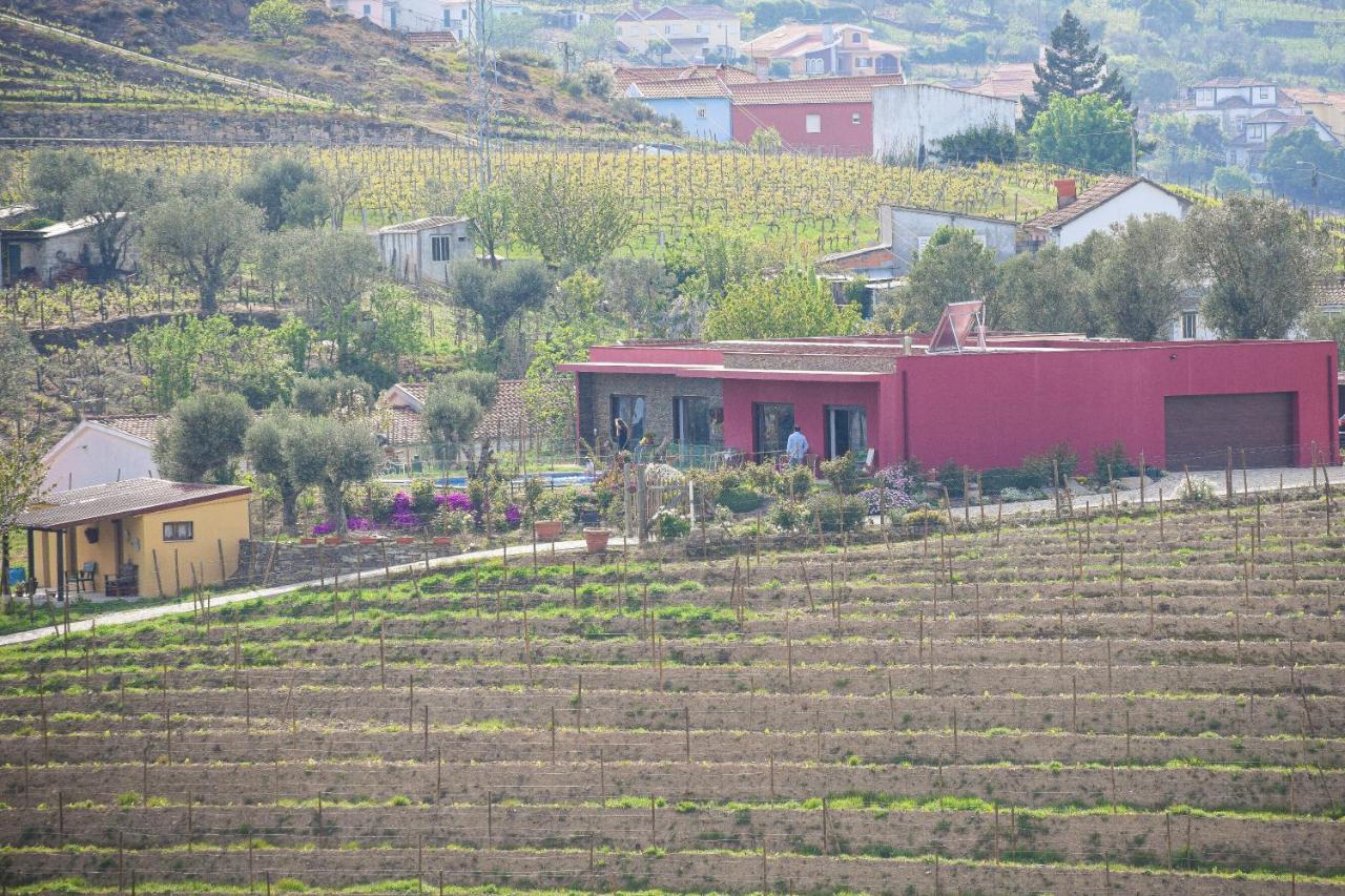 Quinta Dos Padrinhos - Suites In The Heart Of The Douro Ламегу Екстер'єр фото