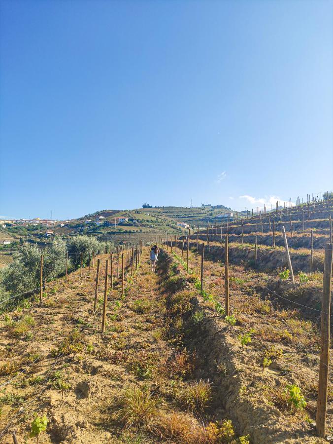 Quinta Dos Padrinhos - Suites In The Heart Of The Douro Ламегу Екстер'єр фото
