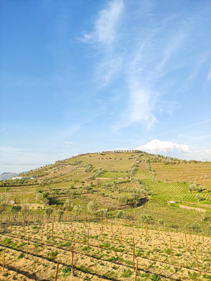 Quinta Dos Padrinhos - Suites In The Heart Of The Douro Ламегу Екстер'єр фото