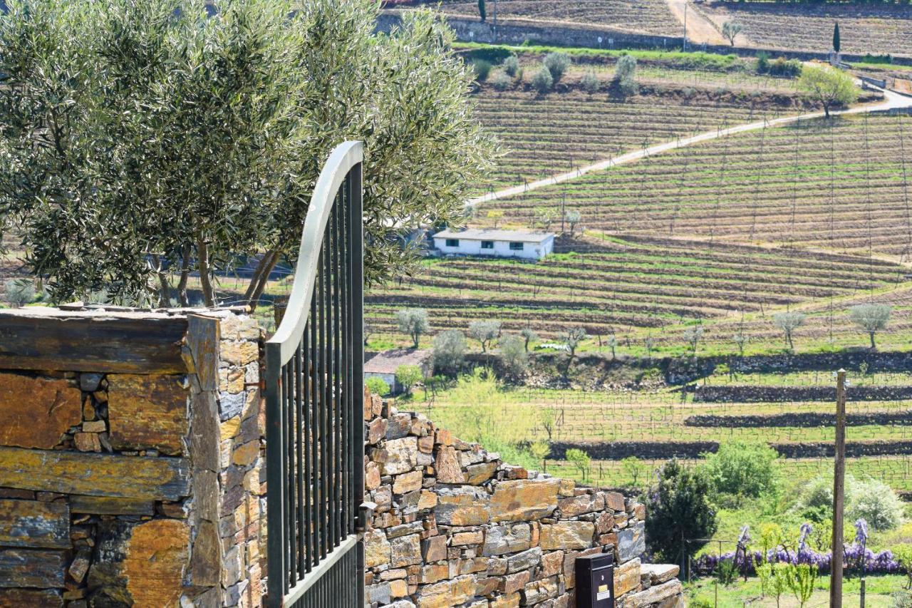 Quinta Dos Padrinhos - Suites In The Heart Of The Douro Ламегу Екстер'єр фото
