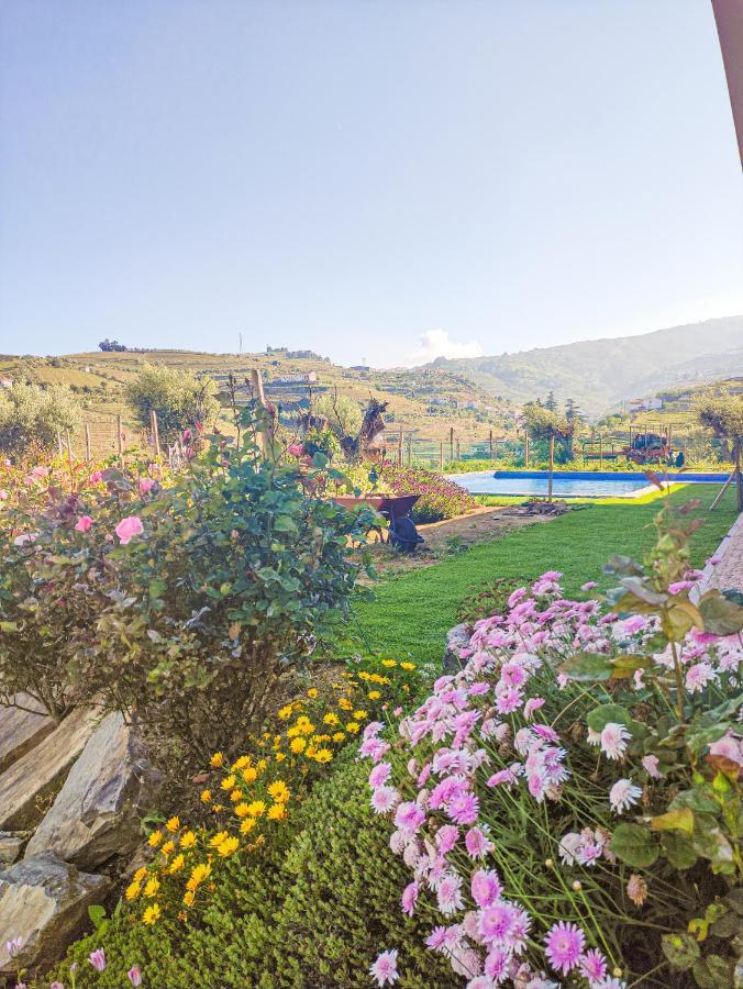 Quinta Dos Padrinhos - Suites In The Heart Of The Douro Ламегу Екстер'єр фото