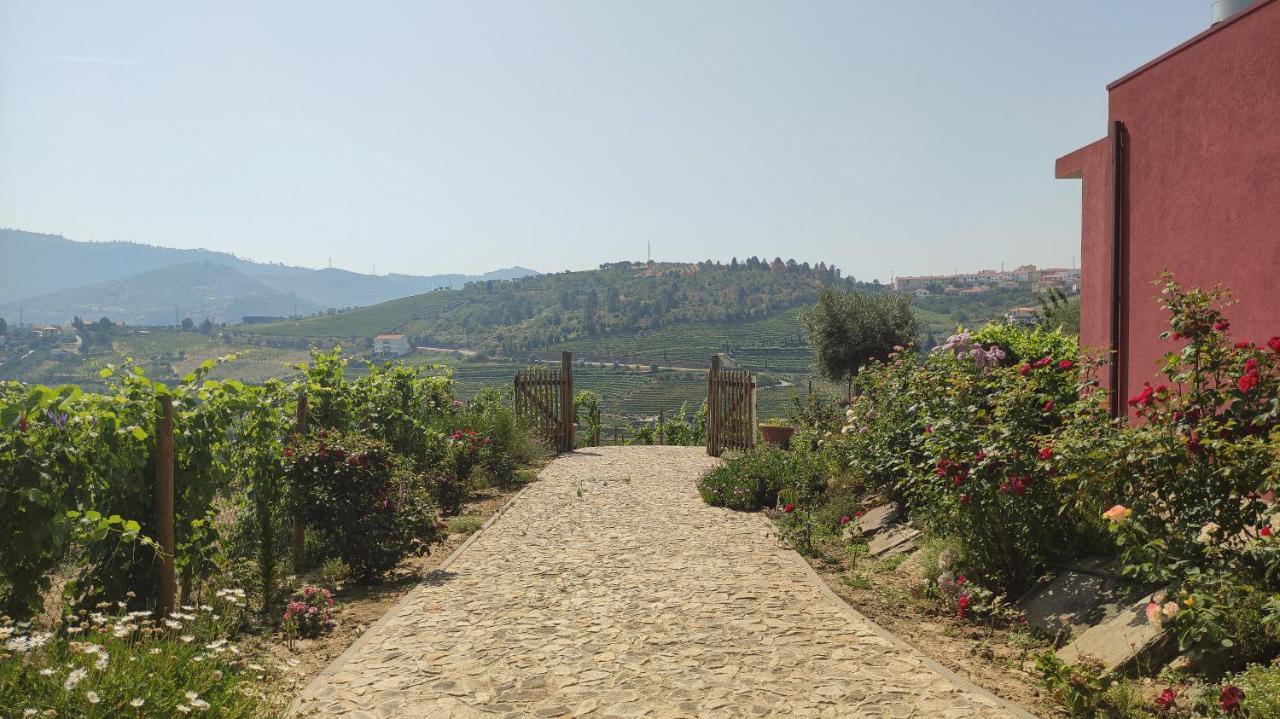 Quinta Dos Padrinhos - Suites In The Heart Of The Douro Ламегу Екстер'єр фото